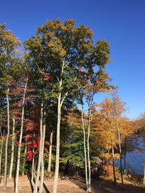 The Retreat At Norwich Lake