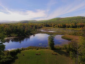 Hampton Inn & Suites Berkshires Lenox