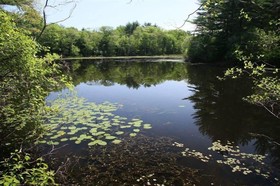 On Craberry Pond