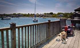 The Cottages at Boat Basin