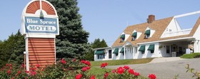 Blue Spruce Motel and Townhouses