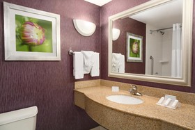 Hilton Garden Inn Springfield