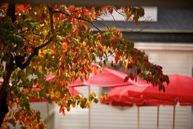 The Red Lion Inn