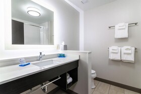 Holiday Inn Express & Suites Allen Park