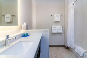 Holiday Inn Express & Suites Allen Park