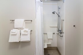 Holiday Inn Express & Suites Allen Park