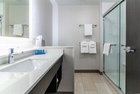 Holiday Inn Express & Suites Allen Park