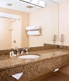 Ann Arbor Regent Hotel & Suites