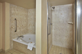 Holiday Inn Hotel & Suites Ann Arbor Univ. Michigan Area