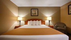 Best Western Executive Inn