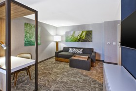 SpringHill Suites Benton Harbor St. Joseph