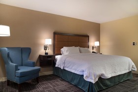 Hampton Inn Big Rapids