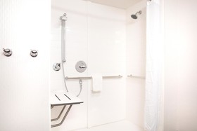 Hampton Inn Big Rapids