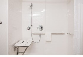 Hampton Inn Big Rapids