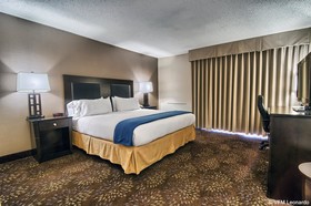 Holiday Inn Express Detroit - Birmingham