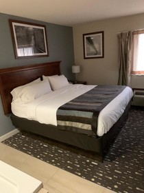 Wingate by Wyndham Brighton