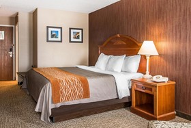 Comfort Inn & Village Conference Center Chelsea