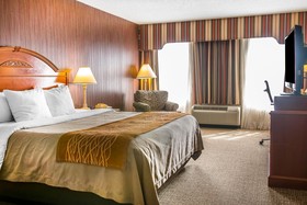 Comfort Inn & Village Conference Center Chelsea