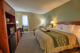 Comfort Inn Near Greenfield Village
