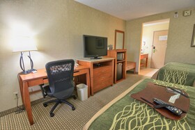 Comfort Inn Near Greenfield Village