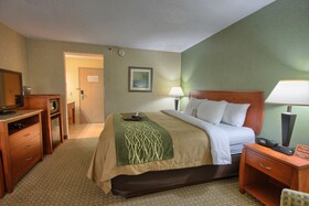 Comfort Inn Near Greenfield Village