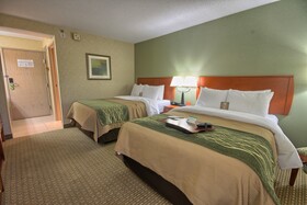Comfort Inn Near Greenfield Village