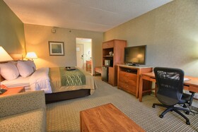 Comfort Inn Near Greenfield Village