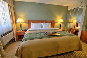 Comfort Inn Near Greenfield Village