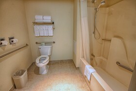 Comfort Inn Near Greenfield Village