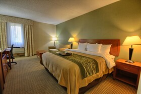 Comfort Inn Near Greenfield Village