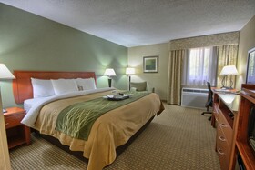 Comfort Inn Near Greenfield Village