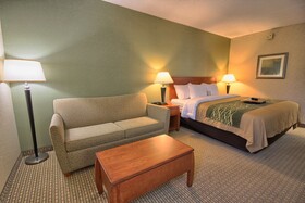 Comfort Inn Near Greenfield Village
