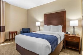 Comfort Inn Near Greenfield Village