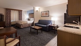 Best Western Plus Flint Airport Inn & Suites