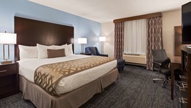 Best Western Plus Flint Airport Inn & Suites