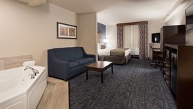 Best Western Plus Flint Airport Inn & Suites