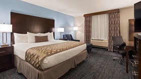 Best Western Plus Flint Airport Inn & Suites