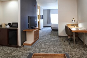 SpringHill Suites Frankenmuth