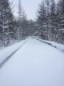 The Loon Golf Resort