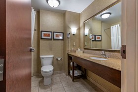 Comfort Suites South