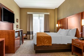 Comfort Suites South