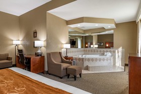 Comfort Suites South