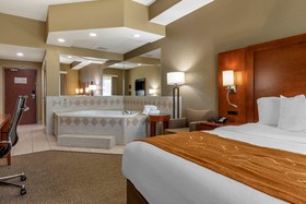 Comfort Suites South