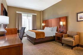 Comfort Suites South