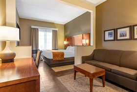 Comfort Suites South