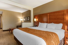 Comfort Suites South