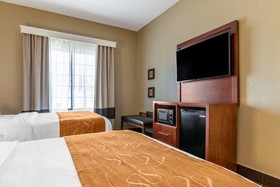 Comfort Suites South