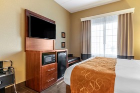 Comfort Suites South