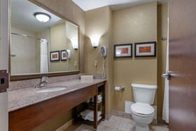 Comfort Suites South