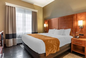 Comfort Suites South